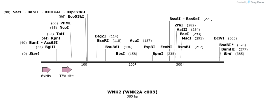 207524_map