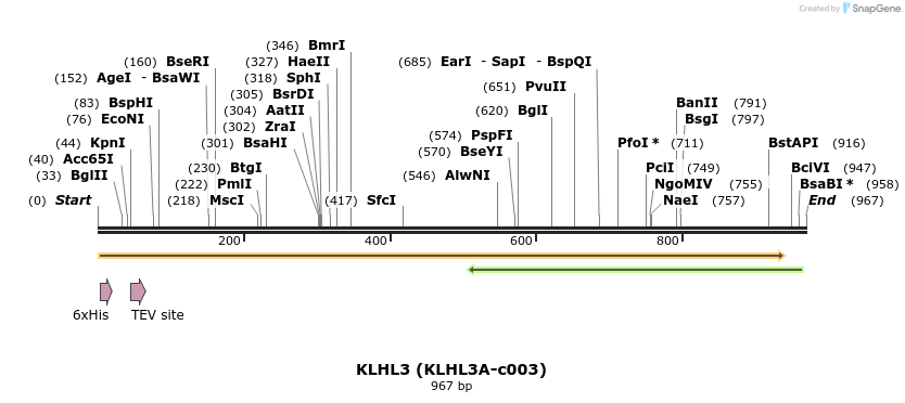 207525_map