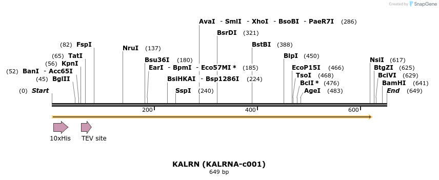 207530_map