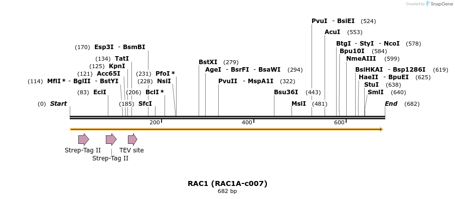 207531_map