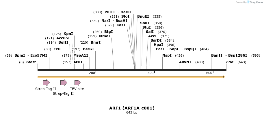 207532_map