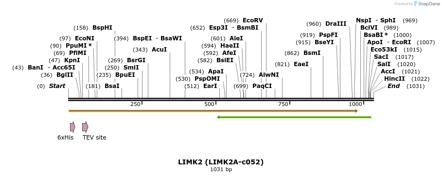 207538_map