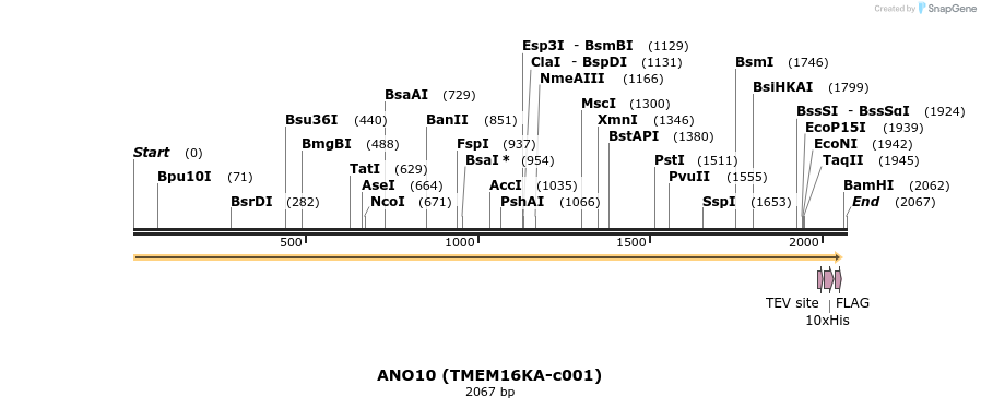 207541_map