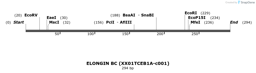 207548_map