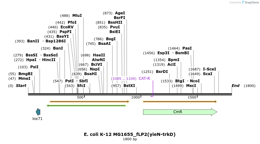 207551_map