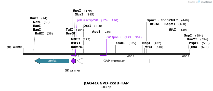 20760_map