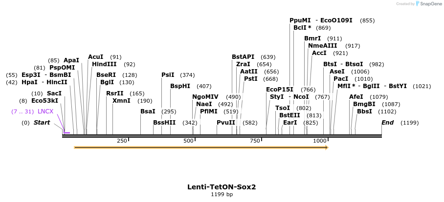207606_map