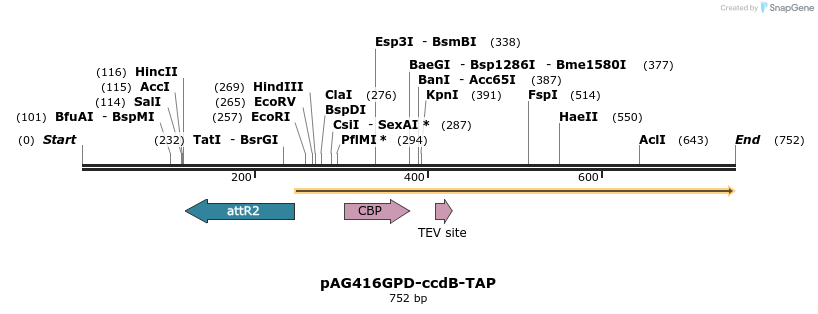 20761_map