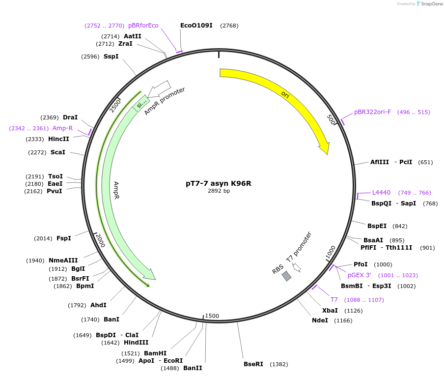 207613_map