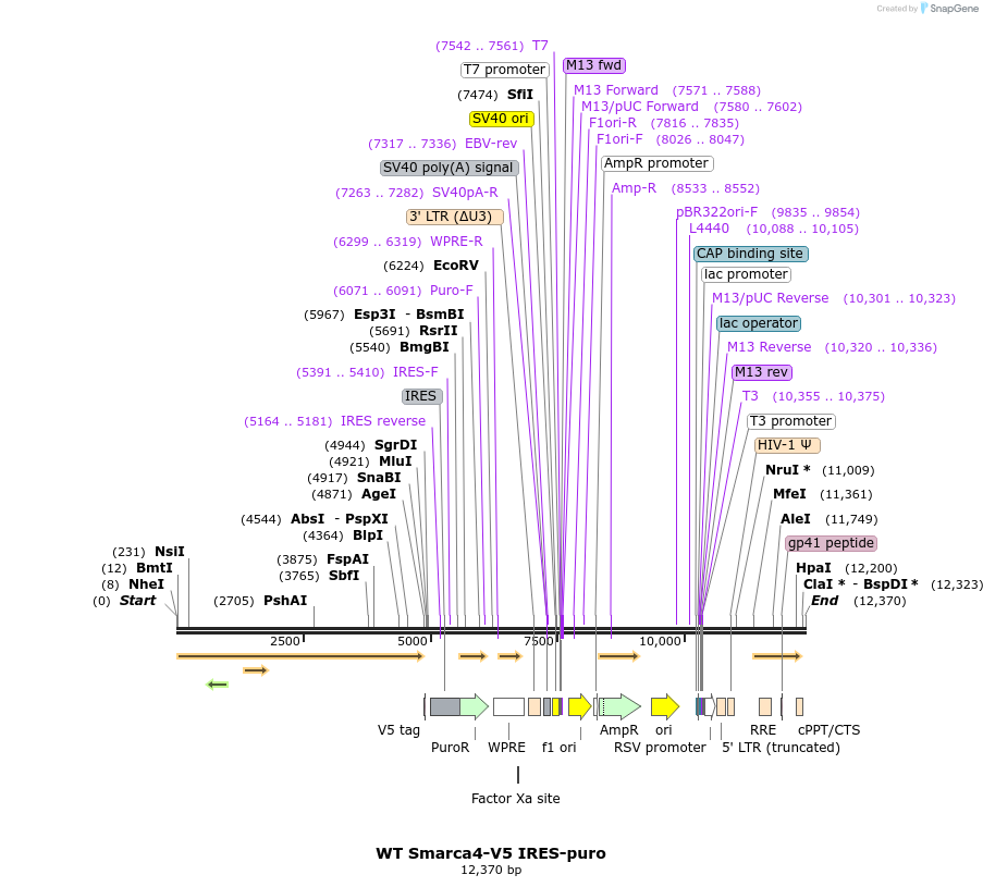 207632_map