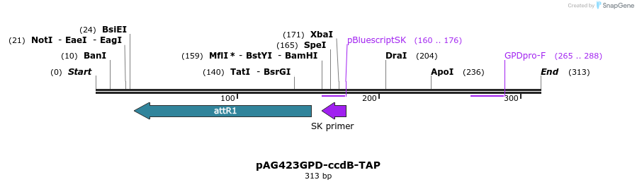 20766_map