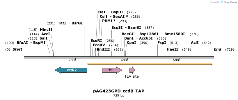 20767_map