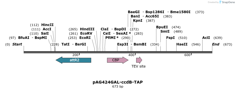 20770_map