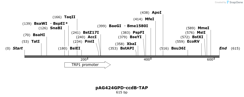 20771_map