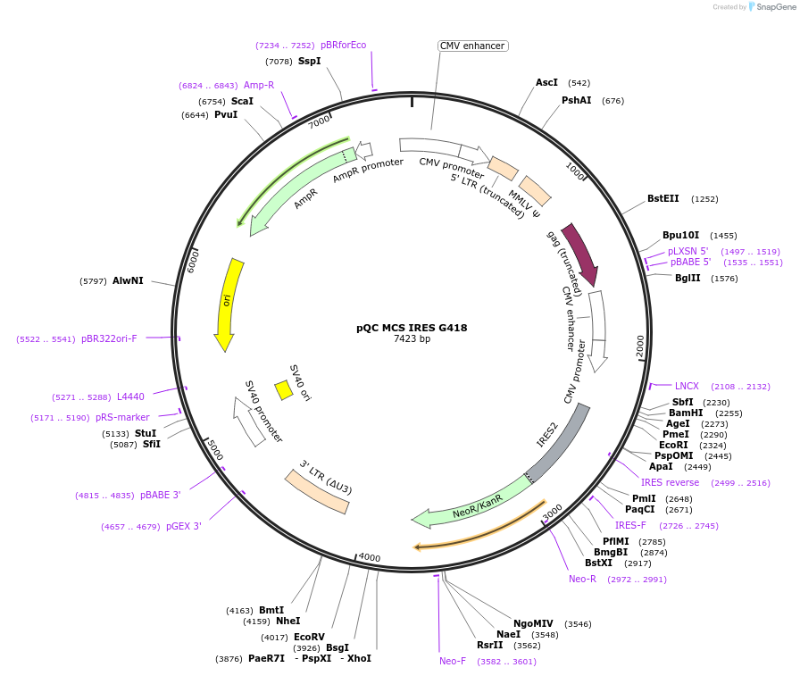 207713_map