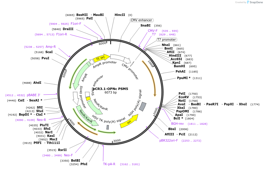 207714_map