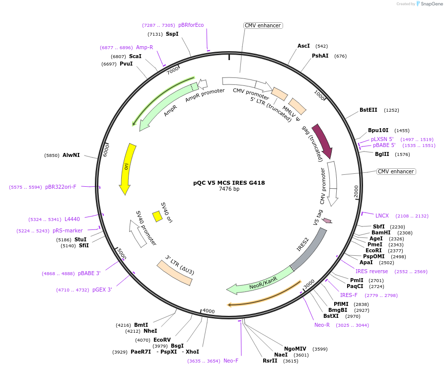 207715_map