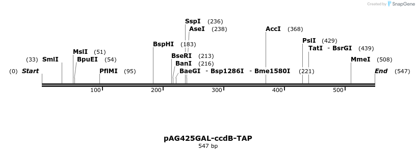 20774_map