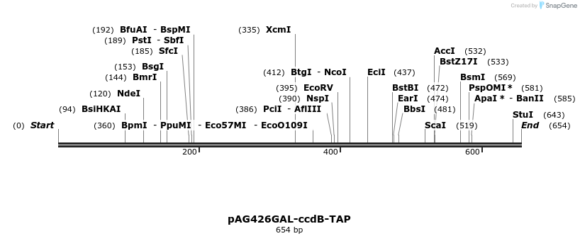 20780_map