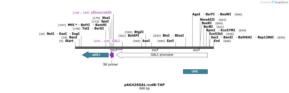 20781_map