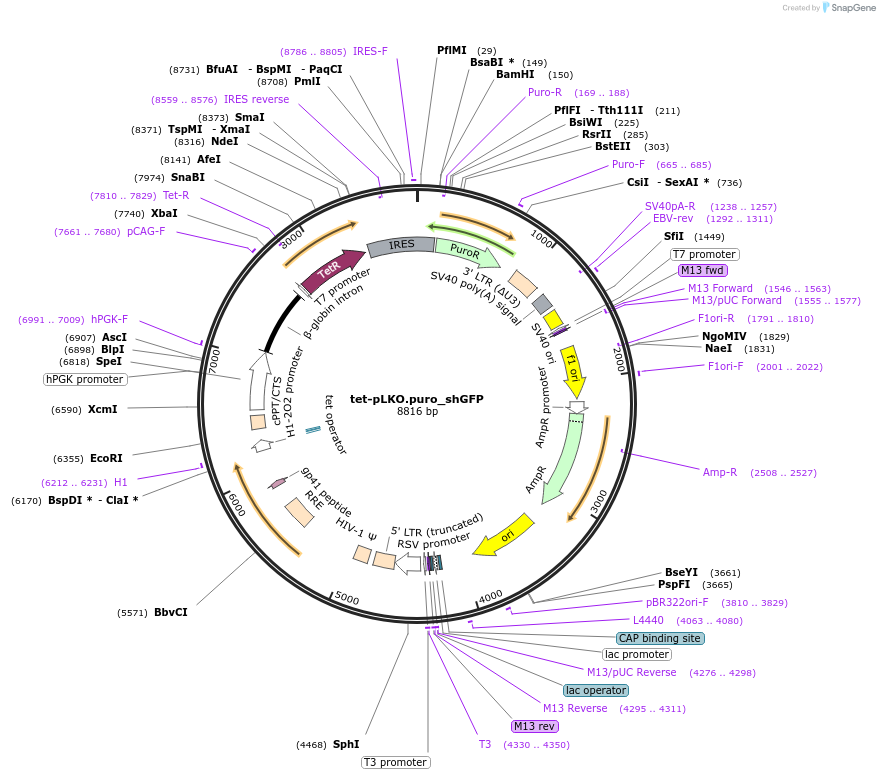 207812_map