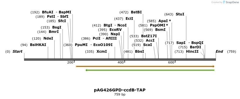 20783_map