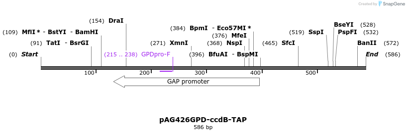 20784_map