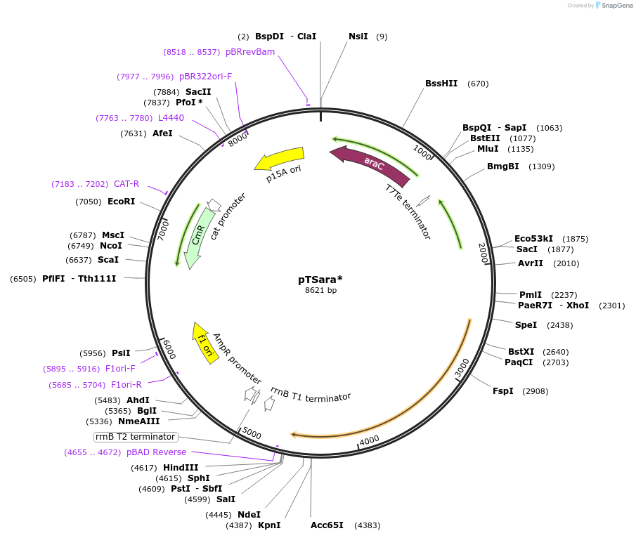 207860_map