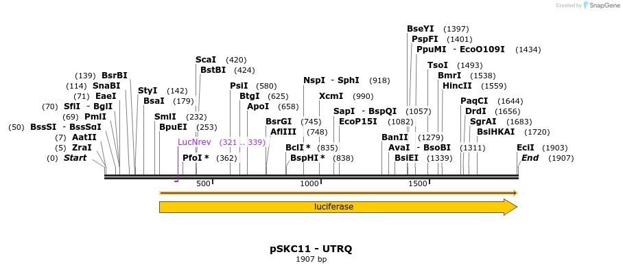 207864_map