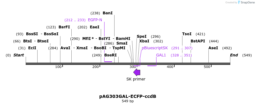20787_map