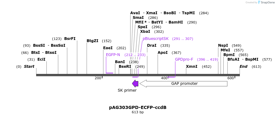 20789_map