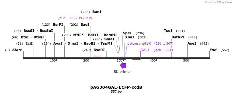 20791_map