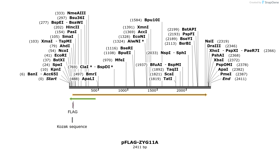 207919_map