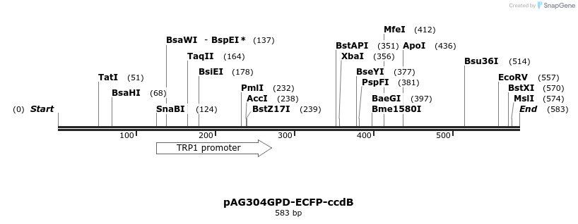 20792_map