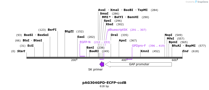 20793_map