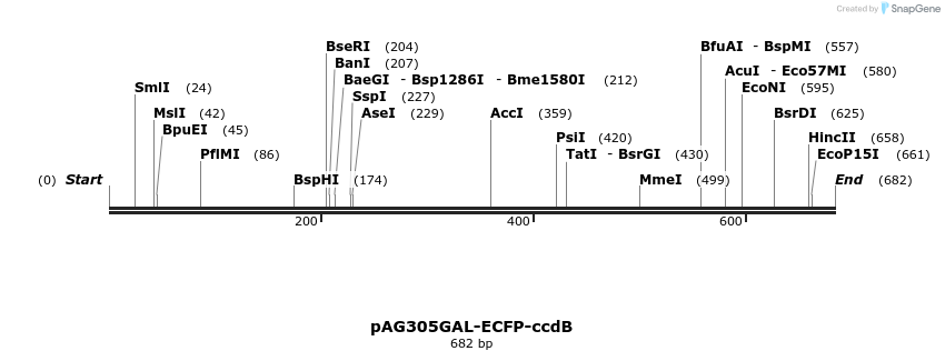 20794_map