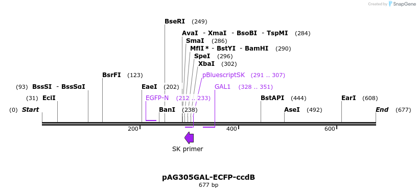 20795_map