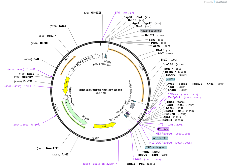 207950_map