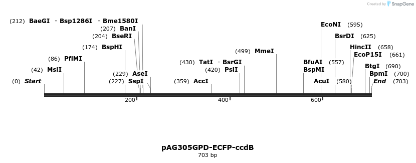 20796_map