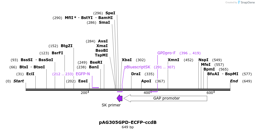 20797_map