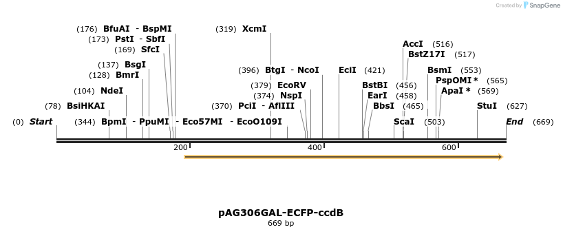 20798_map