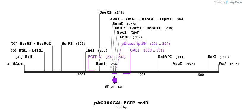 20799_map
