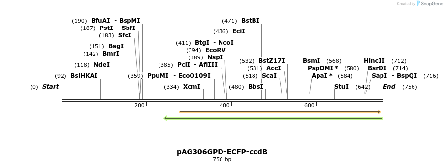 20800_map