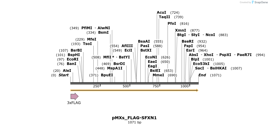 208018_map