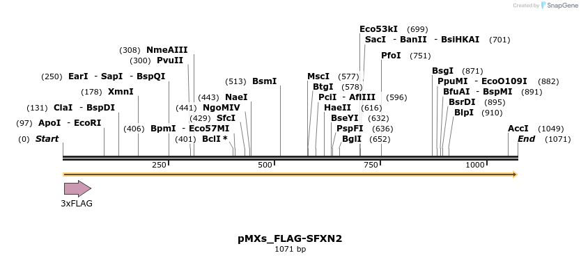 208021_map