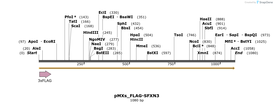 208022_map