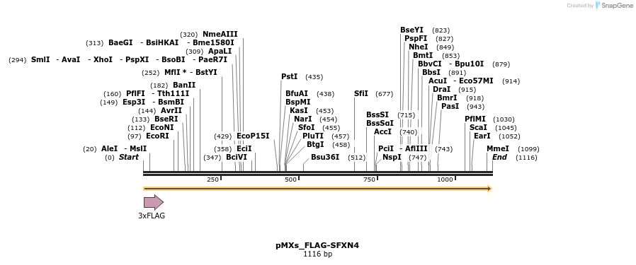 208023_map