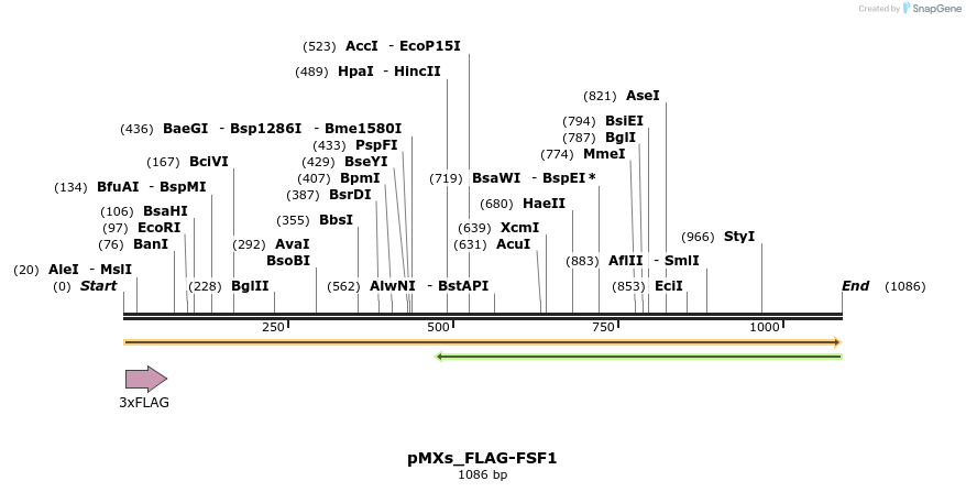 208026_map