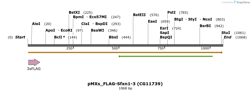 208027_map