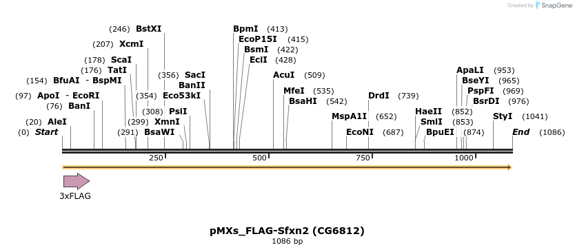 208028_map